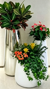 镇海室内植物出租怎么卸载？彻底删除方法